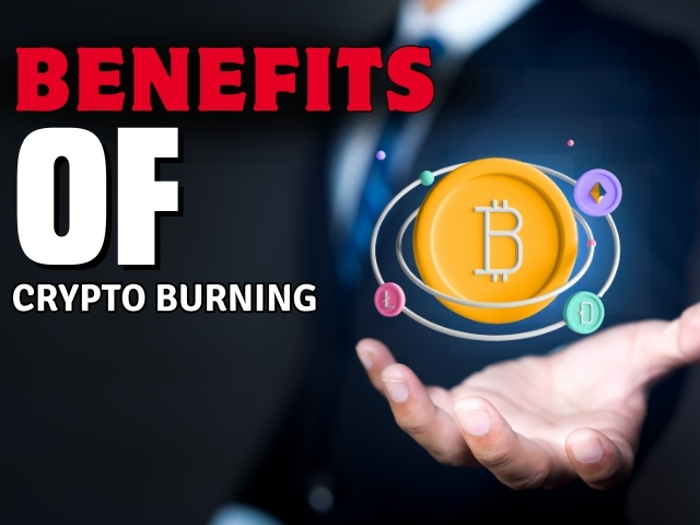 The Benefits of Crypto Burning